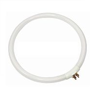 Лампа для луп 6025 (круглая) Rexant 22Вт G10q 31-0803 картинка 